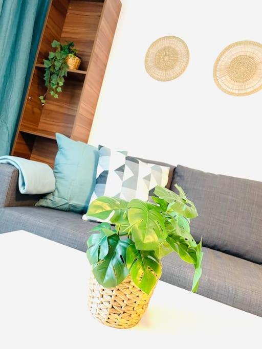 Allgaeu Living - 46Sqm Oberstaufen Kültér fotó